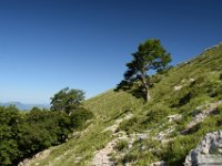 2026-06-20 Sopralluogo Trail Duchessa 042